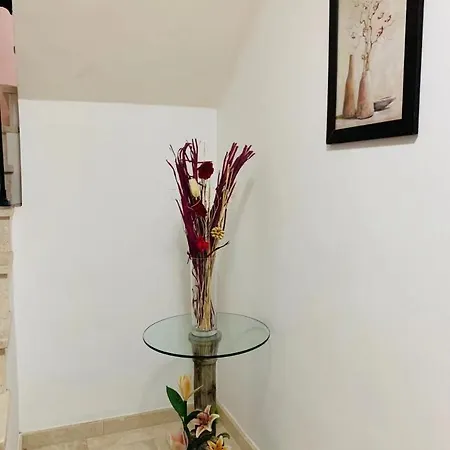 펜션 Lin House 코라레호